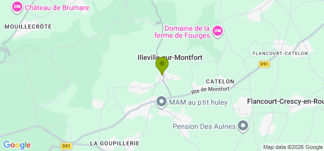 Carte de localisation de la randonnée Randonnée dans la pointe nord de la forêt domaniale de Montfort au départ de Illeville-sur-Montfort 2