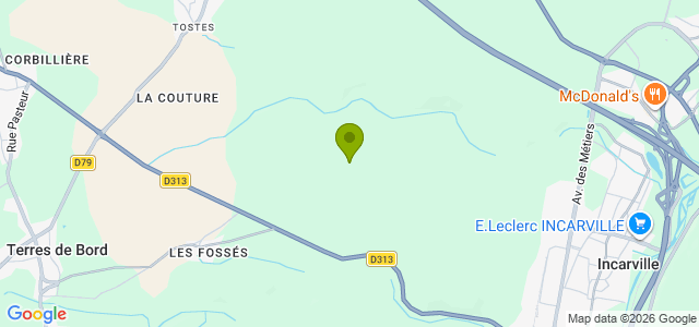 Carte de localisation de la randonnée 3 arbres remarquables en forêt de Bord-Louviers au départ de Louviers 2