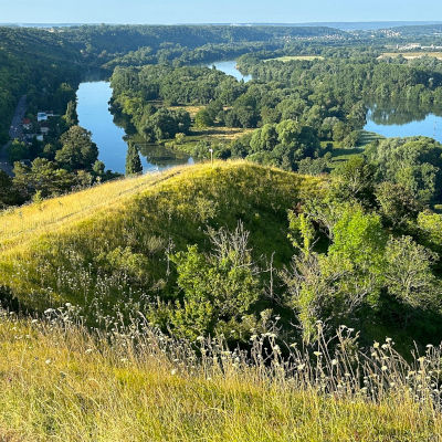 Panoramas