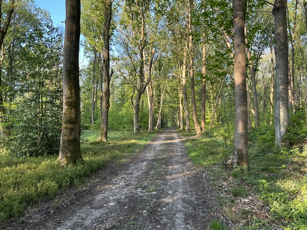 Au sommet, nous retrouvons le délicieux chemin des Bruyères.