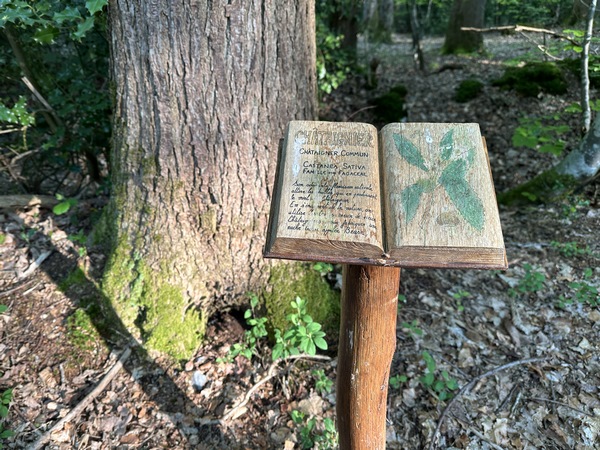 Près de la Mare Dolent, le Sentier Nature nous ouvre sa bibliothèque.