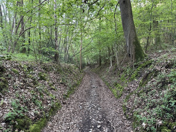 Nous descendons le chemin des Charlesmonts en direction de Livet.