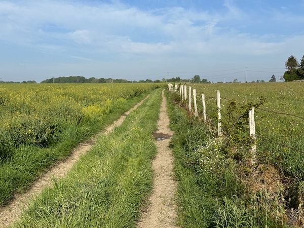 Nous traversons la plaine de Neuville en direction de la Cour Neuville.