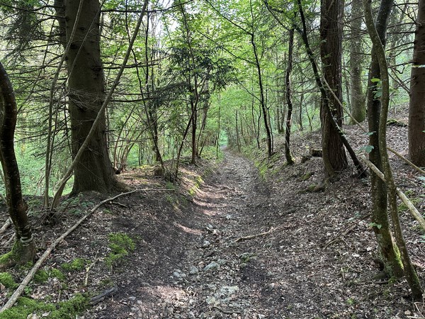 Nous franchissons le Dour de l'Arquerie en direction du nord. Un dour devient un ruisseau en période très pluvieuse.