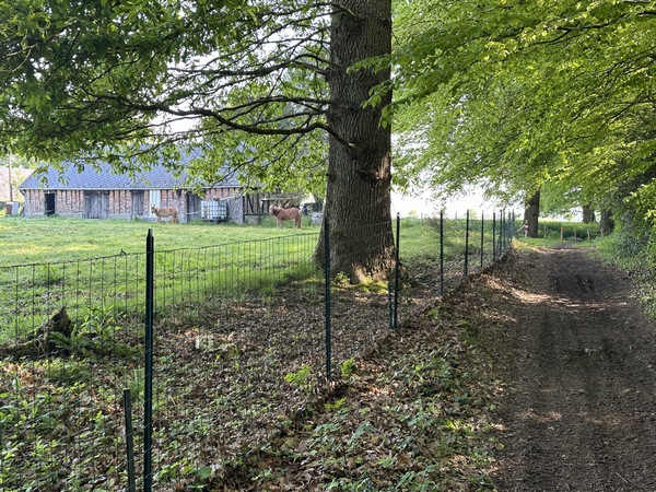 Encore un très agréable chemin, cette fois-ci en lisière des bois du coteau du Dour de l'Arquerie.