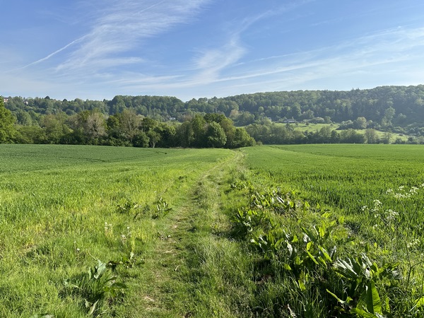 Nous traversons la vallée du ruisseau de la Croix Blanche en direction de Saint-Grégoire.