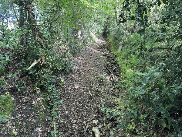 Nous montons le chemin de la Vallée Buisson. Le chemin est laissé à l'abandon. Les endroits qui ne sont pas ravinés sont envahis de hautes herbes.