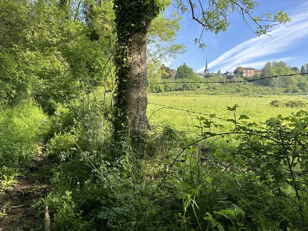 Il faut comparer l'état actuel du chemin avec les photos de 2013 dans l'album... Ca n'empêche pas les coups d'œil sympas sur Saint-Grégoire.