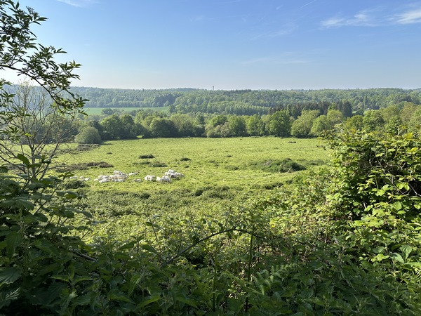Panorama sur la vallée du ruisseau de la Croix Blanche depuis le chemin de la Vallée Buisson.