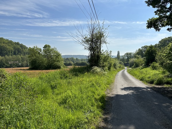 Nous arrivons sur le Chemin du Mont Gannel, petite route déserte qui nous conduit droit vers Freneuse.