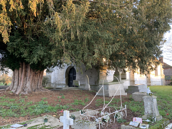 La Puthenaye, Bougy et Romilly se sont réunies en une seule commune en 1846. L'église Saint-Aubin (XVIe restaurée en 1976, sacristie XVIIe) de La Puthenaye possède un if plusieurs fois centenaire, juste devant son entrée.