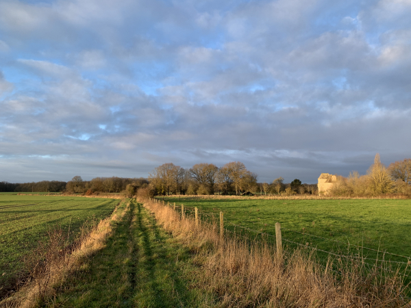 Nous sortons de La Puthenaye par le chemin des Jardins. A droite, on distingue le manoir de la Puthenaye (XVIe) (Voir dans l'album de la rando). Curieusement, la façade sud du manoir est presque aveugle. Le manoir a toujours ses douves, et à proximité, l'ancienne motte féodale.
