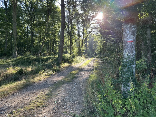 Si vous ne connaissez pas le Val Gallerand, continuez sur la route pendant 300 mètres, vous découvrirez les étonnants bâtiments de l'ancienne ferme, ça mérite le détour. Nous, nous avons tourné à gauche pour suivre le GR224 jusqu'à Beaumont-le-Roger.