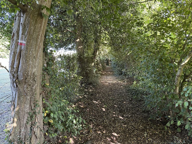Après l'école maternelle, le chemin est praticable.