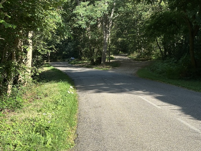 Nous sortons de Grosley par la route de la Risle (D123), et peu après le bourg se trouve, à droite, le chemin qui entre dans le bois de Conchez.