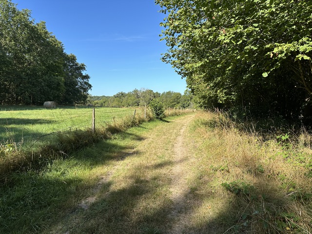 Nous traversons le bois de Conchez sur toute sa longueur, puis suivons le chemin des Monts en direction de Beaumont-le-Roger.