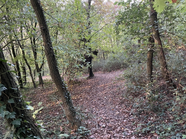 Le chemin descend maintenant vers une ancienne carrière.