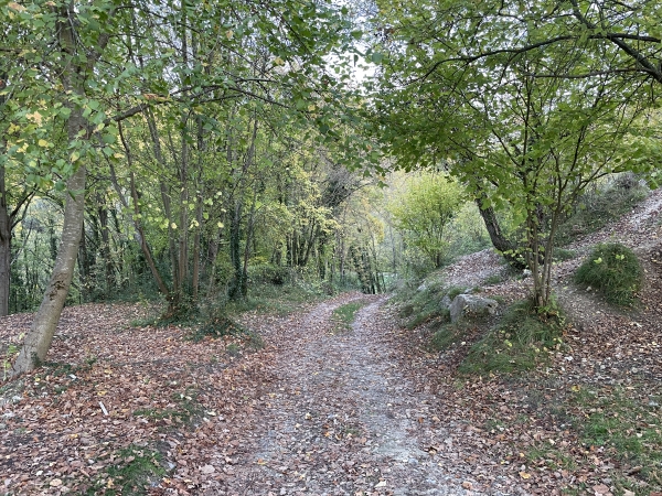 Je sors de la carrière par son ancien chemin d'accès.
