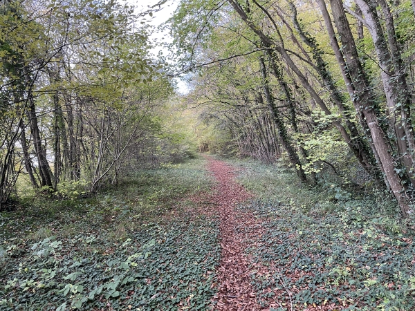 Je contourne la D126 sur ce large chemin. Dans la montée, on peut voir que ce chemin est empierré; est-ce l'ancienne voie entre La Neuville et la vallée ?