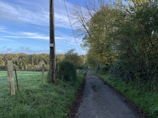 Je marche maintenant sur la rue de la Petite Cuette, en direction des bois.