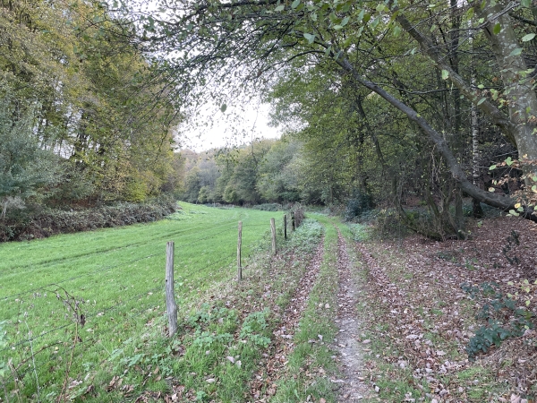 Ce long chemin est vraiment agréable, entre bois et clairières.