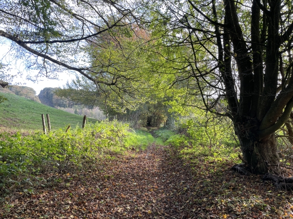 Je suis près de la Fosse au Diable, non loin de la ferme de Longboël.