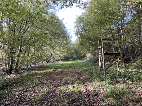 Comme on peut le deviner, en période de chasse il faut rester sur la route de La Neuville.