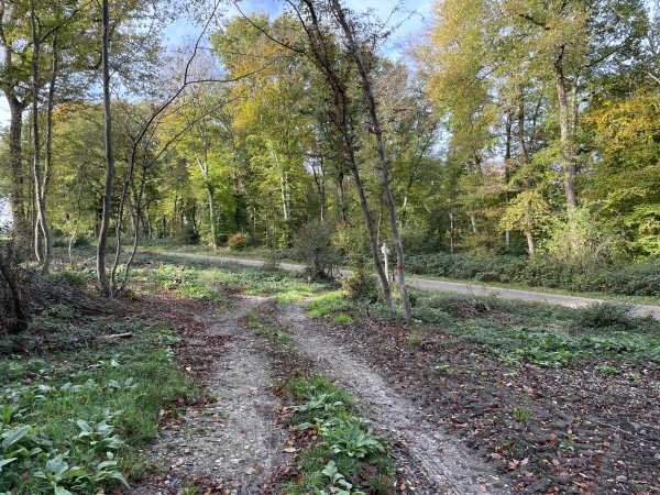 Je rejoins la route de La Neuville, un peu avant le plateau agricole.