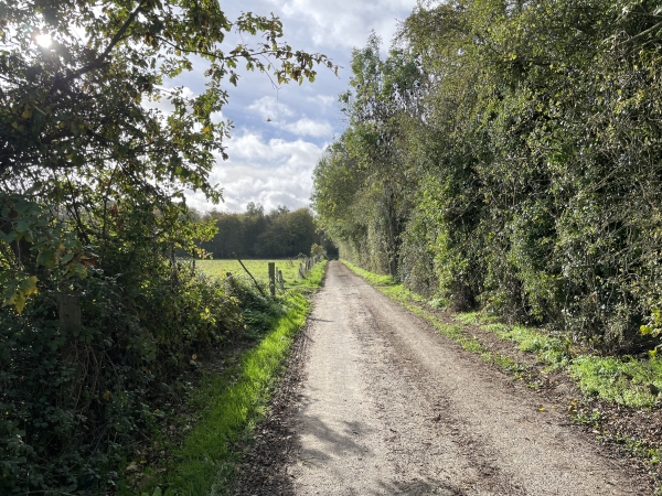Je quitte la route pour tourner sur ce chemin de la Grange aux Loups.