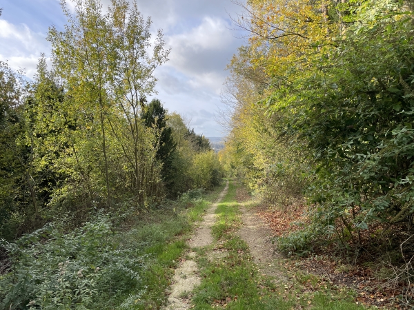 Le chemin continue après la Grange aux Loups et descends la Côte de Quevrue.