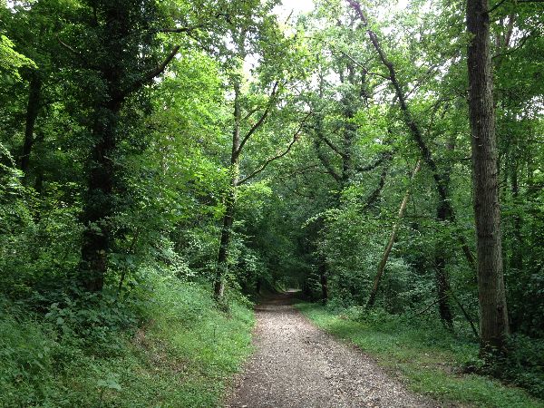 Nous retraversons le village du Thuit, et descendons dans son bois.