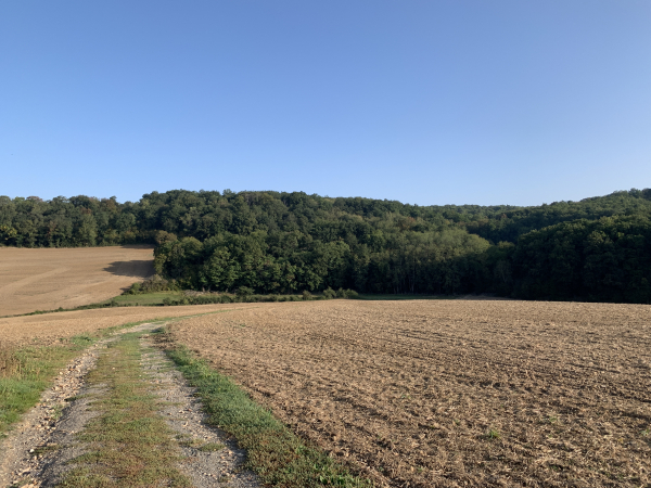 En sortant de Rouvray, nous traversons la Vallée Bance en direction du bois d'Houlbec.