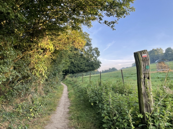 Nous suivons le GR212 dès le départ de la randonnée. Le balisage de ce circuit est assez confus : les infos officielles annoncent des balises jaunes. Sur le terrain, nous voyons des balises vertes, comme ici sur le poteau, ou bleues, ou pas de balises...