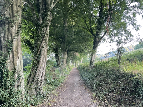 Le GR212 est constitué de chemins très agréables, et parfaitement entretenus.