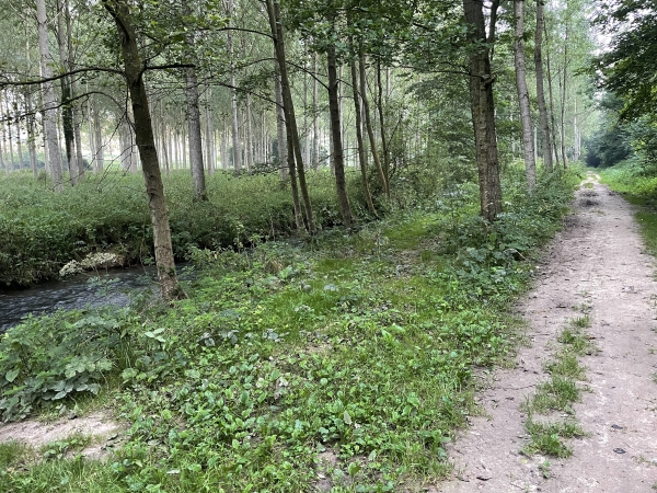 Le GR212 longe ici la Saâne, peu avant le chateau d'Imbleville.