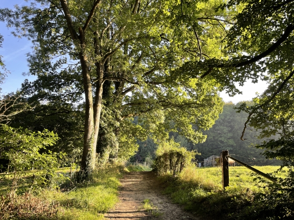 Avant d'arriver à la route du Beau Soleil, nous tournons sur le chemin qui monte vers le plateau.