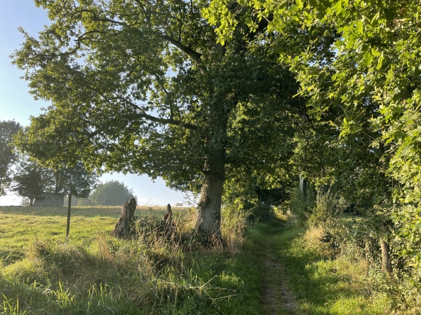 Nous montons sur le plateau d'Eurville.