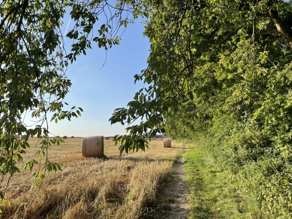 Eurville, plaine de l'Eglise. Nous allons bientôt tourner à gauche vers le bourg d'Eurville.