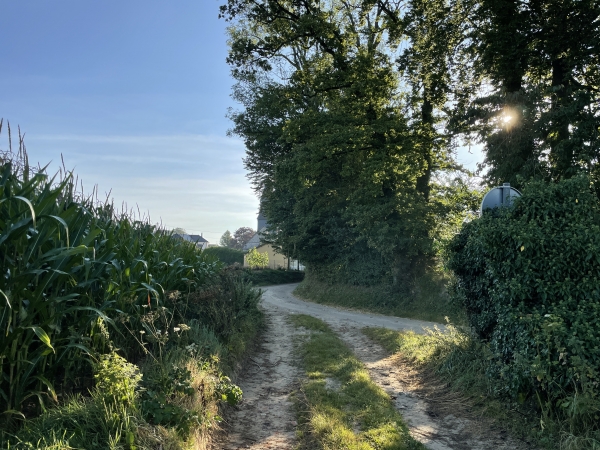 Nous distinguons le clocher de l'église d'Eurville, mais nous n'allons pas entrer dans le bourg, nous tournons ici à droite.