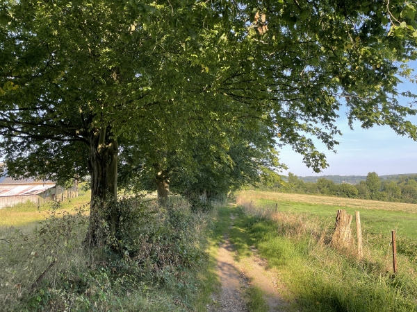 Nous montons sur le plateau du Traversin.