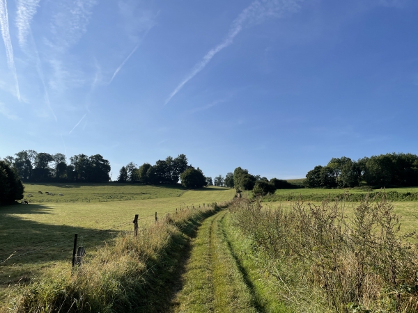 Chemin des Vausseries en direction de Varvannes.