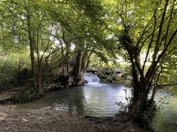 Nous retrouvons le GR212, et descendons jusqu'à la Saâne, dont la source principale n'est qu'à 400 mètres.