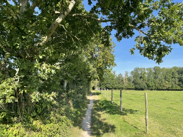 GR212 au Mont Mirel.