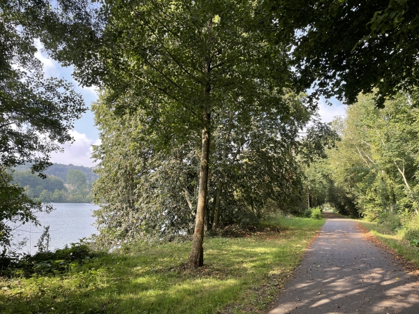 A Arques-la-Bataille, la Voie Verte quitte l'ancienne voie ferrée pour longer les étangs.