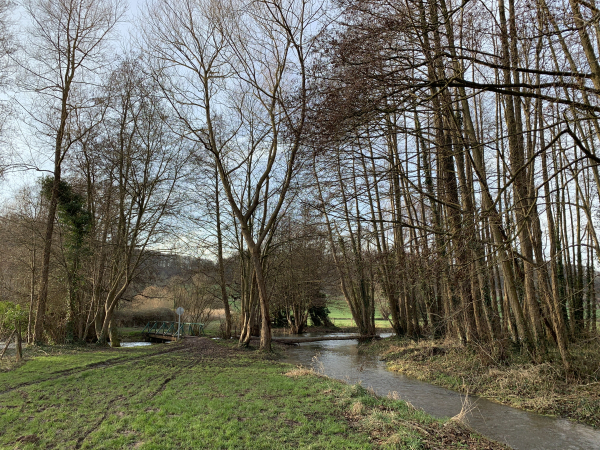 Nous suivons le chemin dans les marais en direction de la passerelle. En période humide, le sol est très spongieux ici. Chaussures imperméables indispensables.
