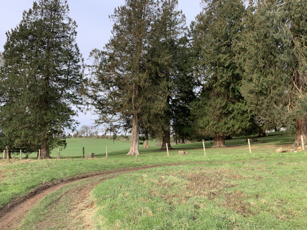 A Sauchay, nous avons suivi le chemin qui se glisse entre les maisons pour descendre dans le vallon des Goulets.