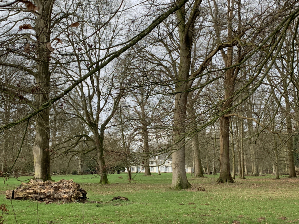 En hiver, on peut apercevoir le château de Wargemont derrière ses arbres. Il a été reconstruit au XVIIIème siècle. Au rez-de-chaussée, il abrite un décor peint par Auguste Renoir.