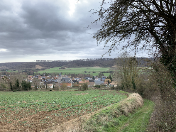 Après Coqueréaumont, nous descendons dans la vallée de l'Eaulne, directement vers Ancourt.