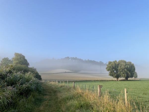 Nous marchons vers le chemin des Pâtis que l'on devine à mi-pente.