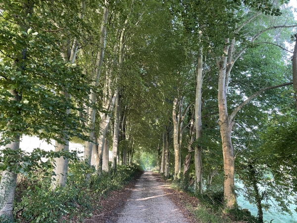 Malgré le passage des Pâtis, nous ne regrettons pas une seconde d'avoir refait ce circuit !